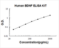 Human BDNF PicoKine ELISA Kit standard curve