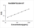 Rat BDNF PicoKine ELISA Kit standard curve