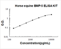 Horse equine BMP-5 PicoKine ELISA Kit standard curve