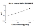 Horse equine BMP-2 PicoKine ELISA Kit standard curve