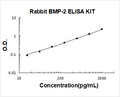 Rabbit BMP-2 PicoKine ELISA Kit standard curve
