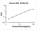 Human EGF PicoKine ELISA Kit standard curve