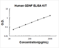 Human GDNF PicoKine ELISA Kit standard curve