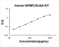 Human IGFBP2 PicoKine ELISA Kit standard curve