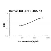 Human IGFBP2 EZ-Set ELISA Kit standard curve