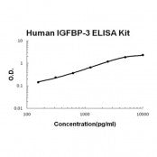 Human IGFBP3 EZ-Set ELISA Kit standard curve