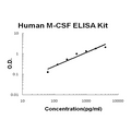 Human M-CSF PicoKine ELISA Kit standard curve