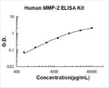 Human MMP-2 PicoKine ELISA Kit standard curve