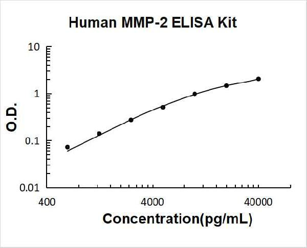 Human MMP-2 PicoKine ELISA Kit standard curve