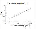 Human NT-4 PicoKine ELISA Kit standard curve