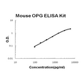 Mouse OPG (TNFRSF11B) PicoKine ELISA Kit standard curve