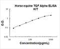 Horse equine TGF alpha PicoKine ELISA Kit standard curve