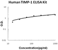 Human TIMP-1 PicoKine ELISA Kit standard curve