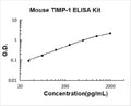 Mouse TIMP-1 PicoKine ELISA Kit standard curve