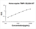 Horse equine TIMP-3 PicoKine ELISA Kit standard curve