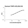 Human TIMP-4 EZ-Set ELISA Kit standard curve