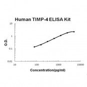 Human TIMP-4 EZ-Set ELISA Kit standard curve
