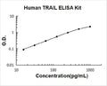 Human TRAIL PicoKine ELISA Kit standard curve