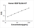 Human VEGF PicoKine ELISA Kit standard curve