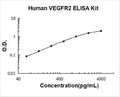 Human VEGFR2/KDR PicoKine ELISA Kit standard curve