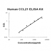 Human CCL21/6Ckine EZ-Set ELISA Kit standard curve