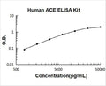 Human ACE PicoKine ELISA Kit standard curve