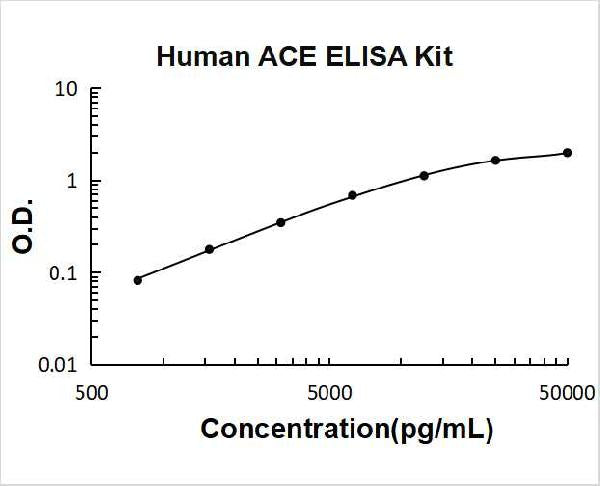Human ACE PicoKine ELISA Kit standard curve