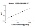 Human VEGF-C PicoKine ELISA Kit standard curve