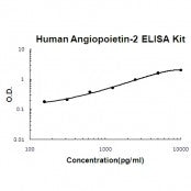 Human Angiopoietin-2 EZ-Set ELISA Kit standard curve