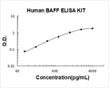 Human BAFF PicoKine ELISA Kit standard curve