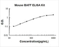 Mouse BAFF PicoKine ELISA Kit standard curve