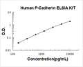 Human P-Cadherin PicoKine ELISA Kit standard curve