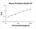 Mouse P-Cadherin PicoKine ELISA Kit standard curve