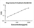 Dog Cadherin-2/N-Cadherin PicoKine ELISA Kit standard curve