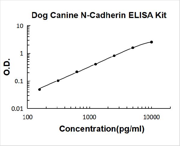 Dog Cadherin-2/N-Cadherin PicoKine ELISA Kit standard curve