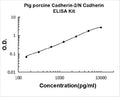 Pig Cadherin-2/N-Cadherin PicoKine ELISA Kit standard curve