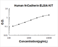 Human Cadherin-2/N-Cadherin PicoKine ELISA Kit standard curve