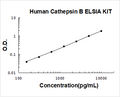 Human Cathepsin B PicoKine ELISA Kit standard curve
