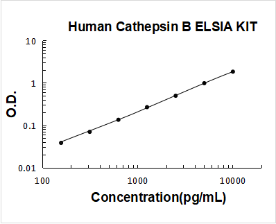 Human Cathepsin B PicoKine ELISA Kit standard curve