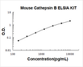 Mouse Cathepsin B PicoKine ELISA Kit standard curve
