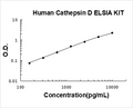 Human Cathepsin D PicoKine ELISA Kit standard curve