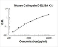 Mouse Cathepsin D PicoKine ELISA Kit standard curve
