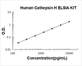Boster Kit Box