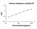 Human  Cathepsin L PicoKine ELISA Kit standard curve
