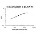 Human Cystatin C EZ-Set ELISA Kit standard curve
