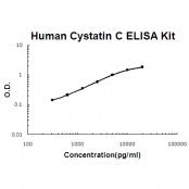 Human Cystatin C EZ-Set ELISA Kit standard curve