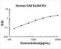 Human CA2 PicoKine ELISA Kitstandard curve