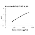 Human B7-1/CD80 PicoKine ELISA Kit standard curve