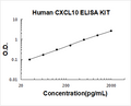 Human CXCL10/IP-10 PicoKine ELISA Kit standard curve
