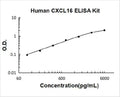 Human CXCL16 PicoKine ELISA Kit standard curve
